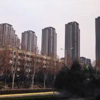 фото из отзыва ID 2679844