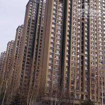 фото из отзыва ID 2679844