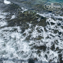 фото из отзыва ID 2677821