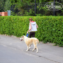 фото из отзыва ID 2671073