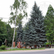 фото из отзыва ID 2671073