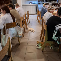 фото из отзыва ID 2670255