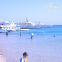 фото из отзыва ID 268631