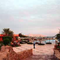 фото из отзыва ID 268677