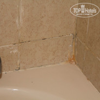 фото из отзыва ID 268677