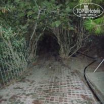 фото из отзыва ID 268928