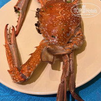 фото из отзыва ID 2680010