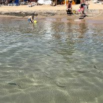 фото из отзыва ID 2680010