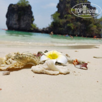 фото из отзыва ID 2680043