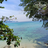 фото из отзыва ID 2680043