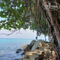 фото из отзыва ID 2680043