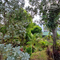 фото из отзыва ID 2680043