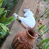 фото из отзыва ID 2680043