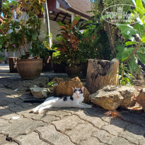 фото из отзыва ID 2680043