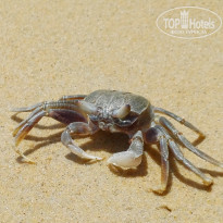 фото из отзыва ID 2680043