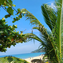 фото из отзыва ID 2680043