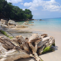 фото из отзыва ID 2680043