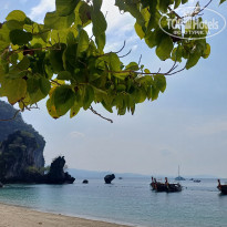 фото из отзыва ID 2680043