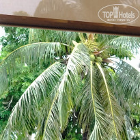 фото из отзыва ID 2680057