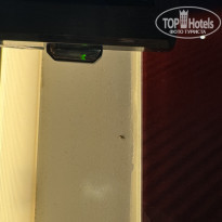 фото из отзыва ID 2680137