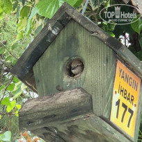 фото из отзыва ID 2680151