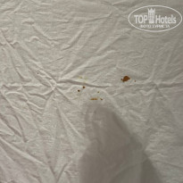 фото из отзыва ID 2680178