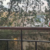 фото из отзыва ID 2680183