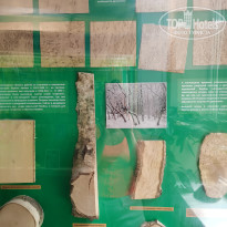 фото из отзыва ID 2680217