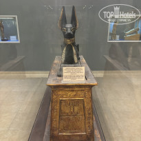 фото из отзыва ID 2680252