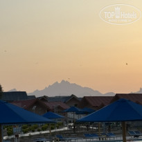 фото из отзыва ID 2680252