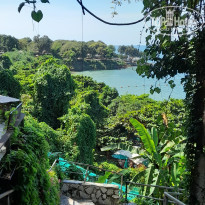 фото из отзыва ID 2680302