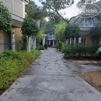 фото из отзыва ID 2680383