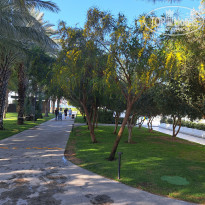 фото из отзыва ID 2680383