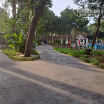 фото из отзыва ID 2680383