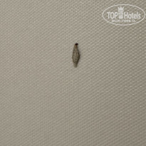 фото из отзыва ID 2680411