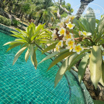 фото из отзыва ID 2680456