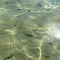 фото из отзыва ID 2680457