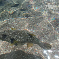 фото из отзыва ID 2680542