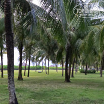 фото из отзыва ID 2680589