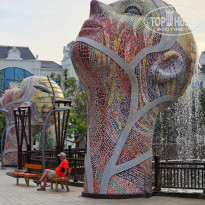 фото из отзыва ID 2680589