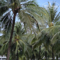 фото из отзыва ID 2680589