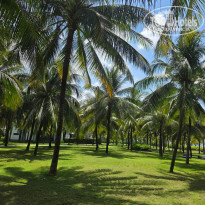 фото из отзыва ID 2680589