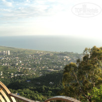 фото из отзыва ID 2680604