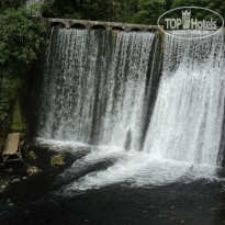 фото из отзыва ID 2680604