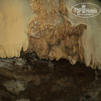 фото из отзыва ID 2680604