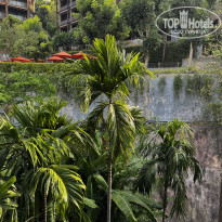 фото из отзыва ID 2680619