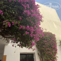 фото из отзыва ID 2680642