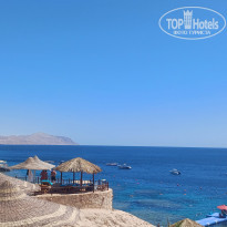 фото из отзыва ID 2680623