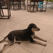 фото из отзыва ID 2680700