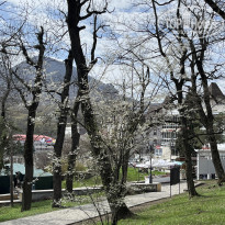 фото из отзыва ID 2680734